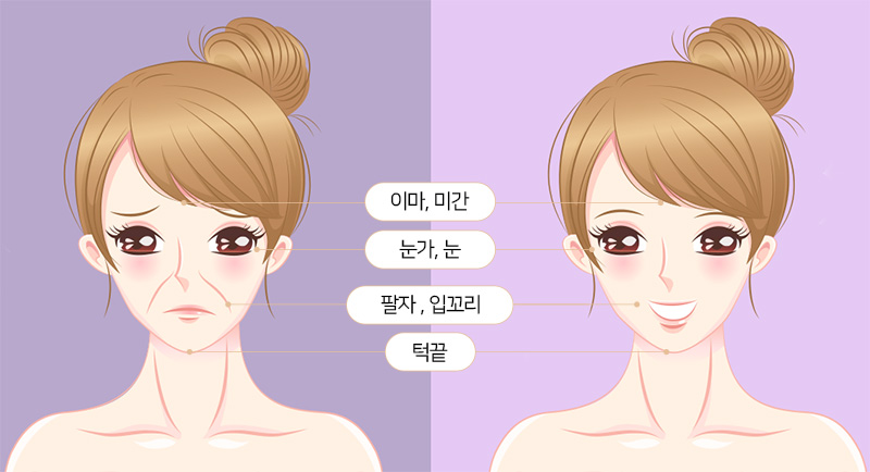 아이콘